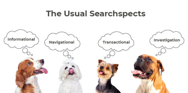 different types of searches 